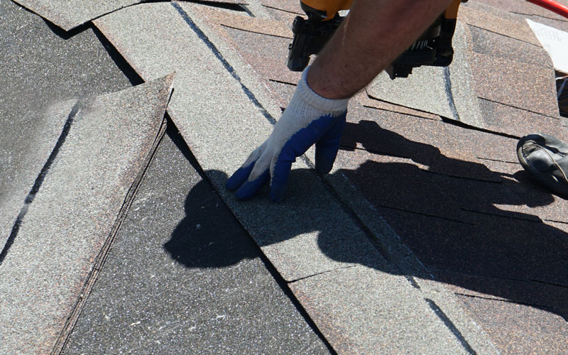 Roof Shingles Replacement
