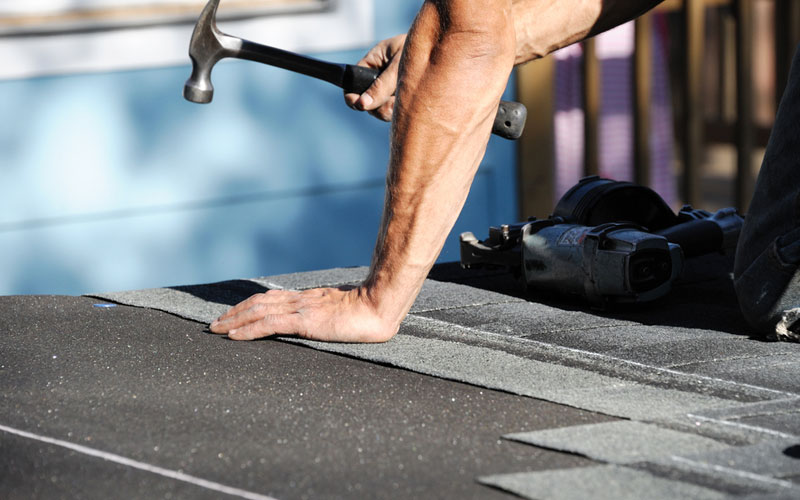 Professional Roofing Contractors