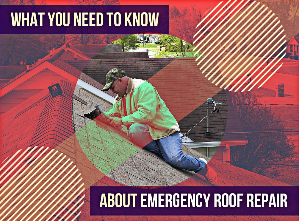 Repairs Roof