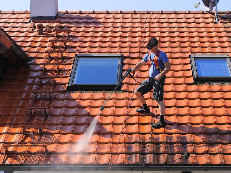 Roof Cleaning