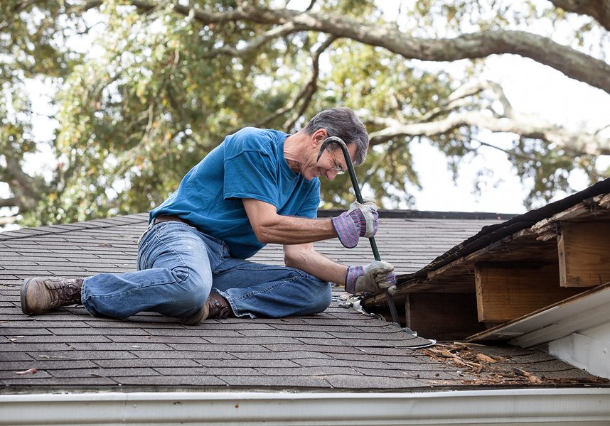 Professional Roofing Service